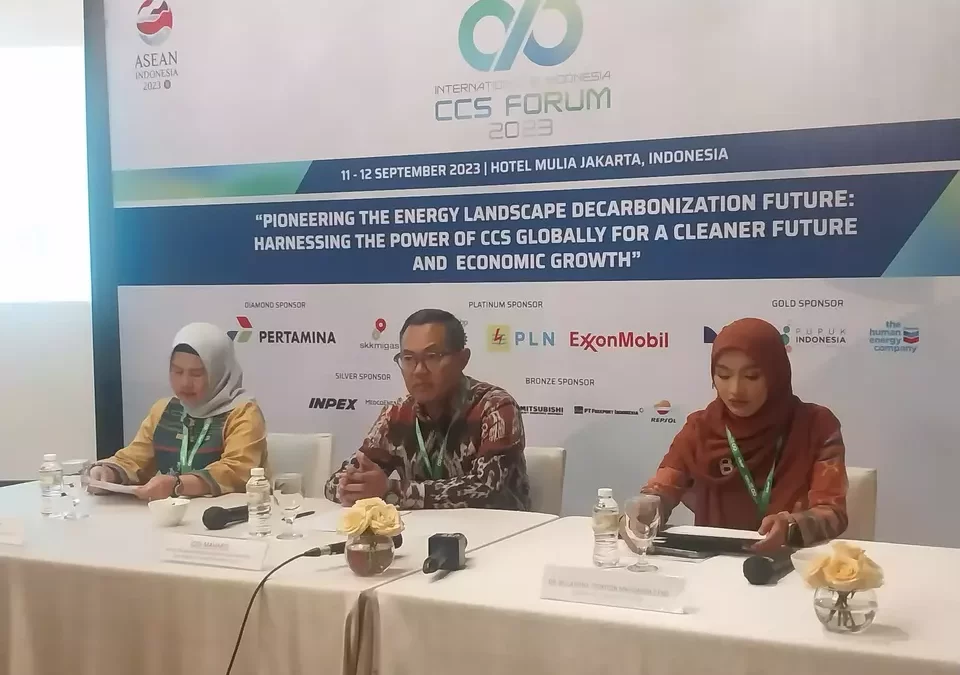 Deputi Luhut: Perusahaan Global Lirik Investasi Petrokimia RI