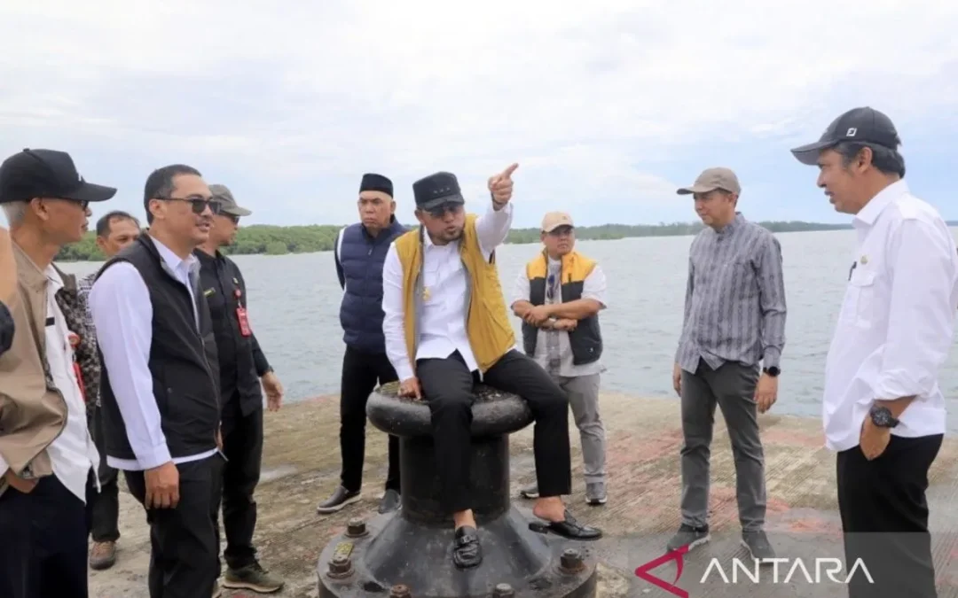 KEK MBTK siap dibangun Industri Kimia hingga Energi Surya